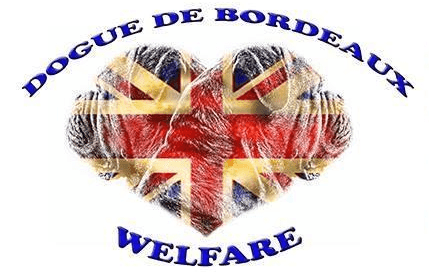 DDB Welfare
